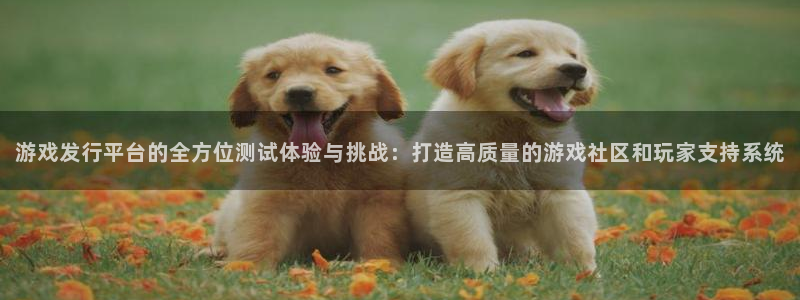 USDt 钱包权限 源码