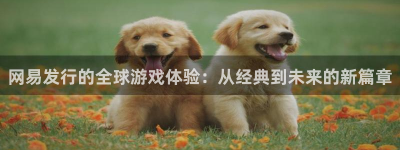 usdt汇率接口
