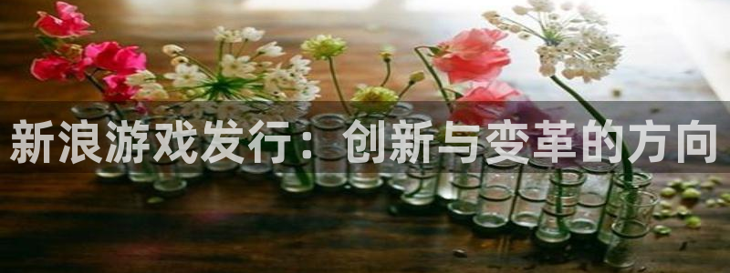 usdt钱包模拟器苹果